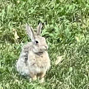 Meet your Posher, Wendy